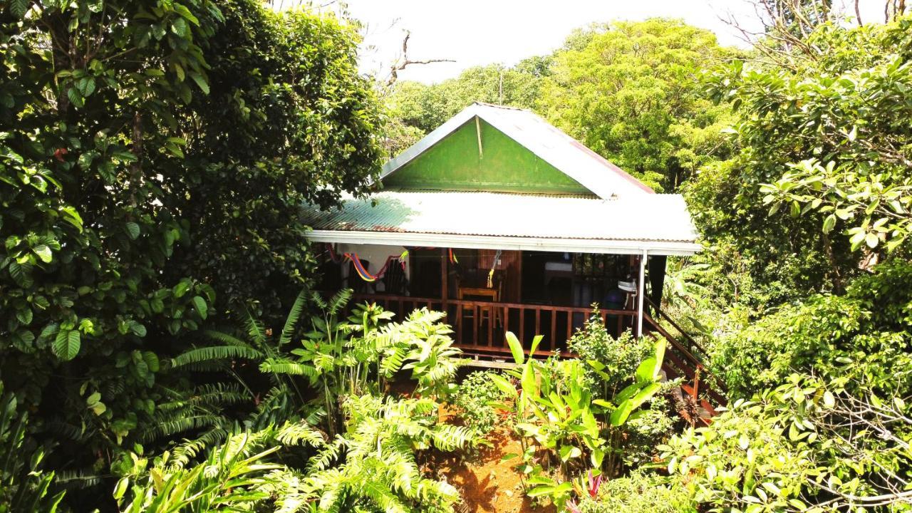 Cabana Ara Macao Lodge Drakes Bay Extérieur photo