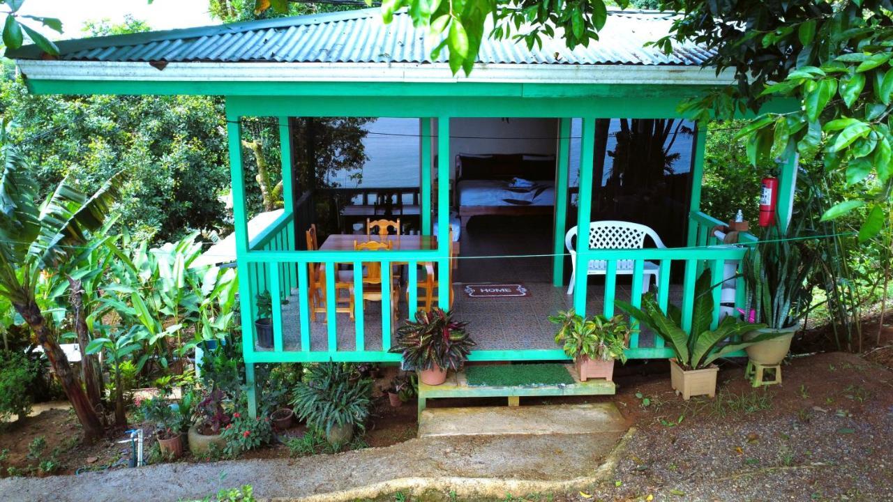 Cabana Ara Macao Lodge Drakes Bay Extérieur photo