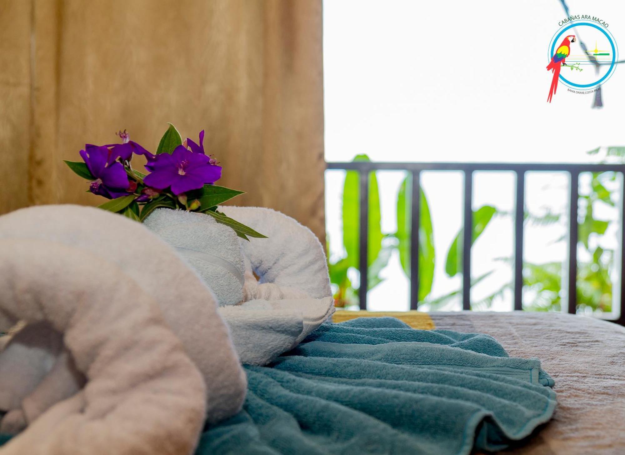 Cabana Ara Macao Lodge Drakes Bay Extérieur photo